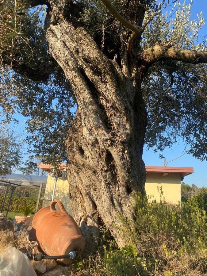 הוילה Palombara Sabina Residenza Nosy Be מראה חיצוני תמונה