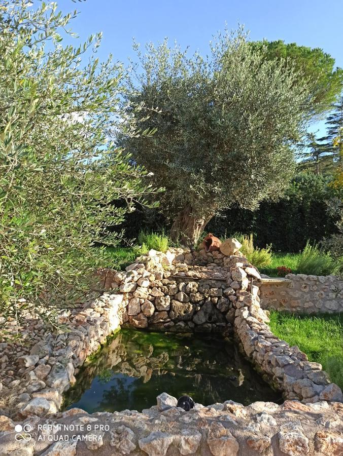 הוילה Palombara Sabina Residenza Nosy Be מראה חיצוני תמונה